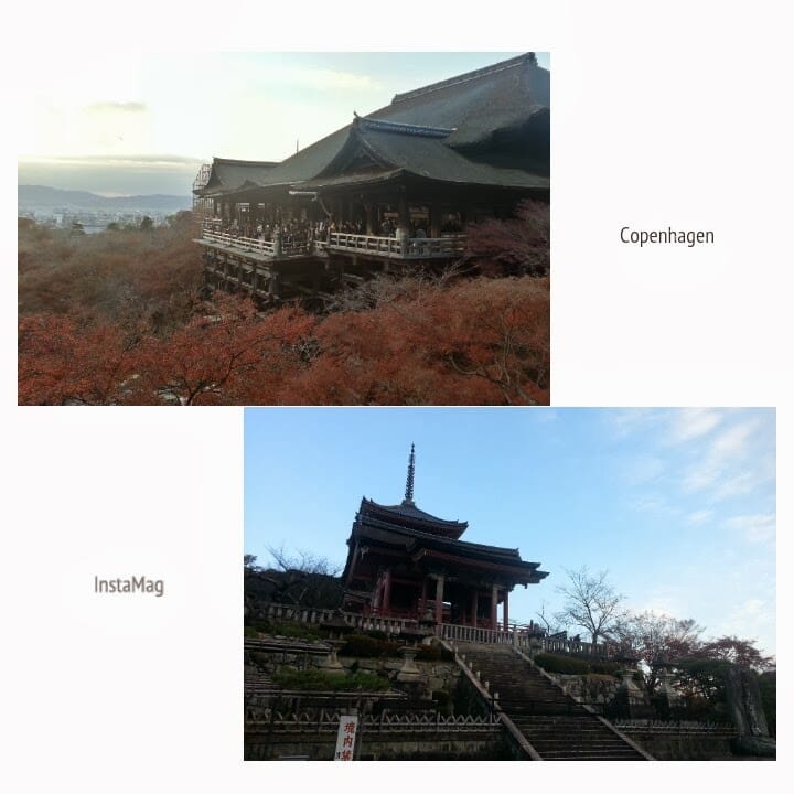 [Kyoto京都楓葉]小氣少年的賞楓懶人包。行程攻略