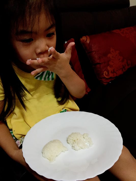 [育兒好物]超卡哇伊貓咪飯糰便當＠日本Arnest創意料理小物