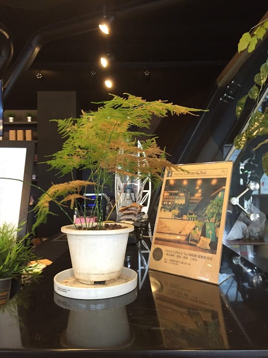 【中壢平鎮咖啡店推薦】Alpha Coffee & Tea：平鎮工業區隱藏咖啡店，手沖咖啡、鬆餅好好食