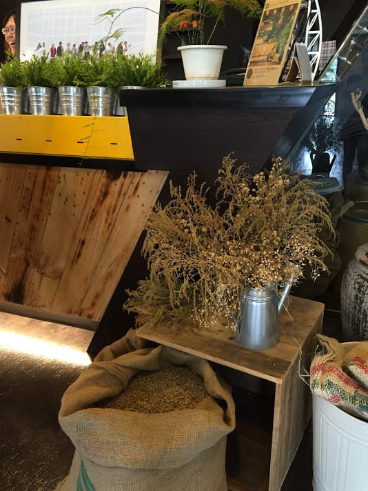【中壢平鎮咖啡店推薦】Alpha Coffee & Tea：平鎮工業區隱藏咖啡店，手沖咖啡、鬆餅好好食