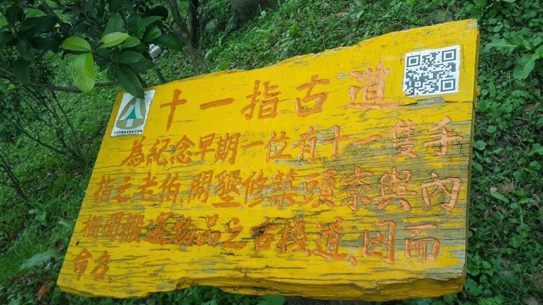 [桃園]賞桐花。巧遇桐花雪～大溪十一指古道