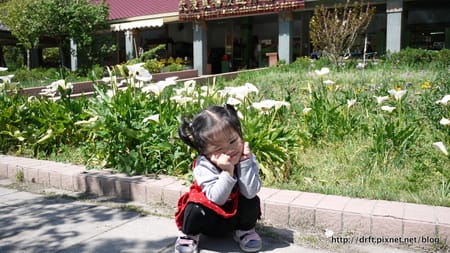 1Y11M14.JPG