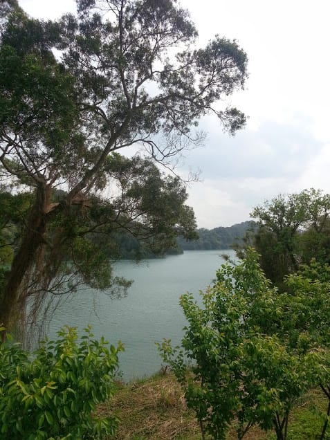 [新竹。寶山]沙湖礫咖啡＆寶山水庫騎車