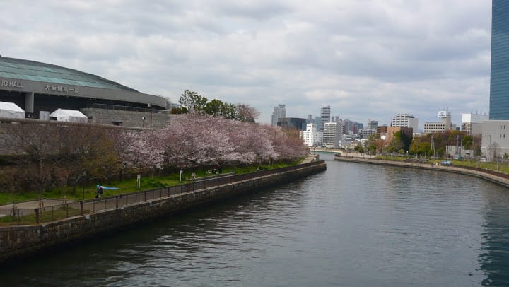 2008 [Kyoto京都]賞櫻之旅Day4#1 大阪城天守閣&大阪城公園 櫻花滿開!