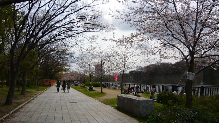 2008 [Kyoto京都]賞櫻之旅Day4#1 大阪城天守閣&大阪城公園 櫻花滿開!