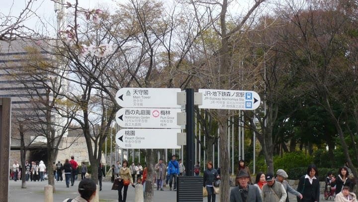 2008 [Kyoto京都]賞櫻之旅Day4#1 大阪城天守閣&大阪城公園 櫻花滿開!