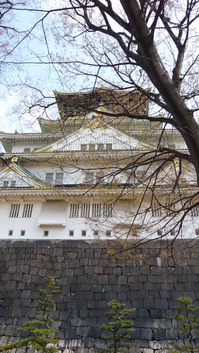 2008 [Kyoto京都]賞櫻之旅Day4#1 大阪城天守閣&大阪城公園 櫻花滿開!