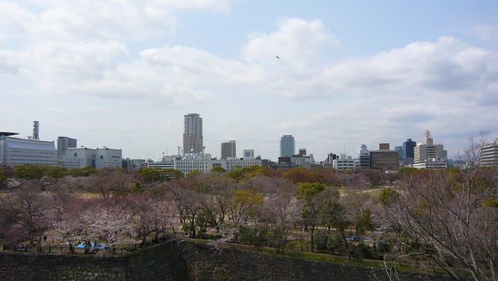 2008 [Kyoto京都]賞櫻之旅Day4#1 大阪城天守閣&大阪城公園 櫻花滿開!