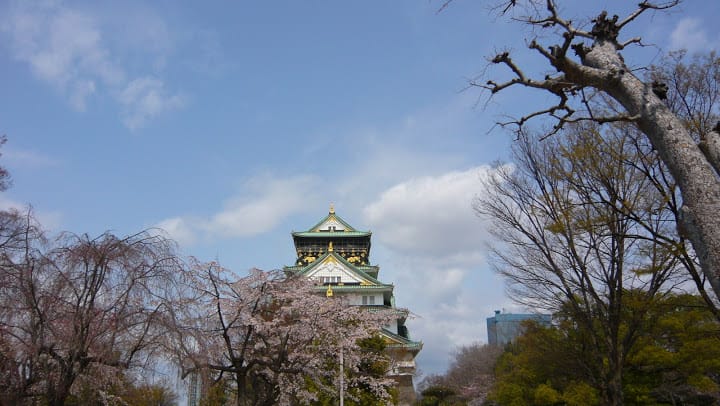 2008 [Kyoto京都]賞櫻之旅Day4#1 大阪城天守閣&大阪城公園 櫻花滿開!