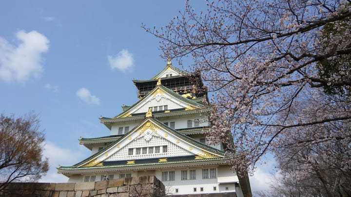 2008 [Kyoto京都]賞櫻之旅Day4#1 大阪城天守閣&大阪城公園 櫻花滿開!