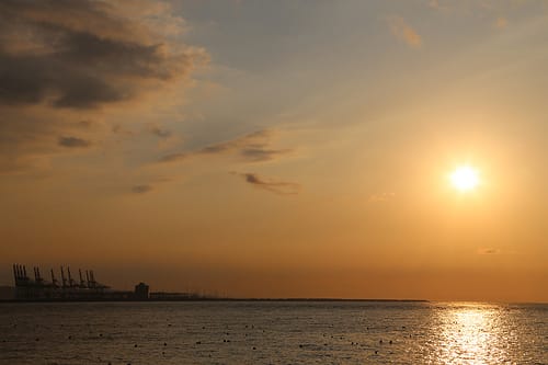 IMG_5294