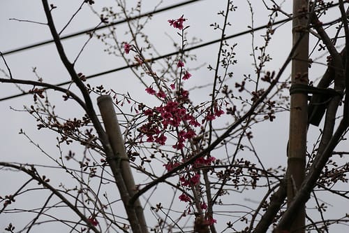 2014.02.16@恩愛農場