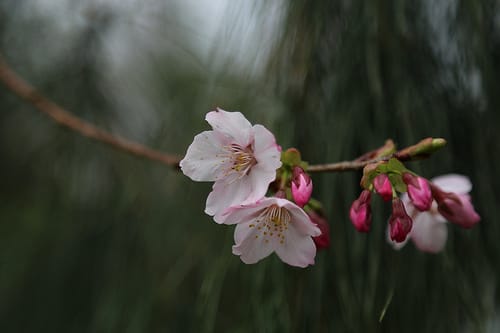 2014.02.16@恩愛農場