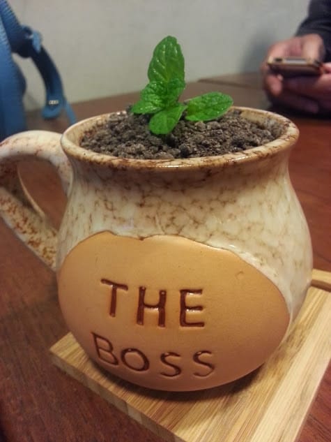 [桃園]大溪。warehouse倉庫咖啡～盆栽奶茶