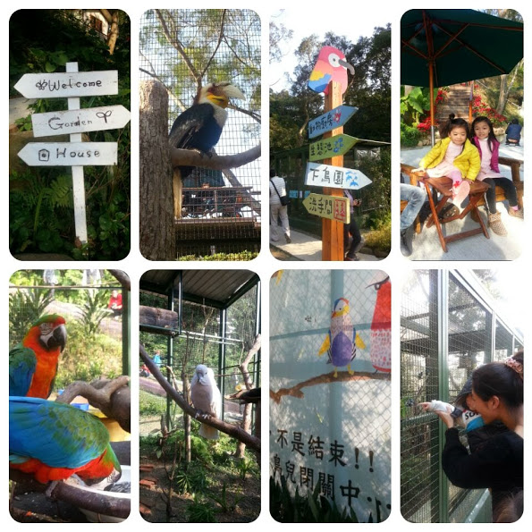 新竹 親子森林餐廳 森林鳥花園 蹓小孩 放空的好去處 天使馨 魔鬼嫙