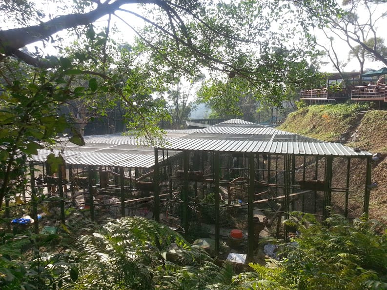 [新竹]親子森林餐廳～森林鳥花園。蹓小孩＆放空的好去處