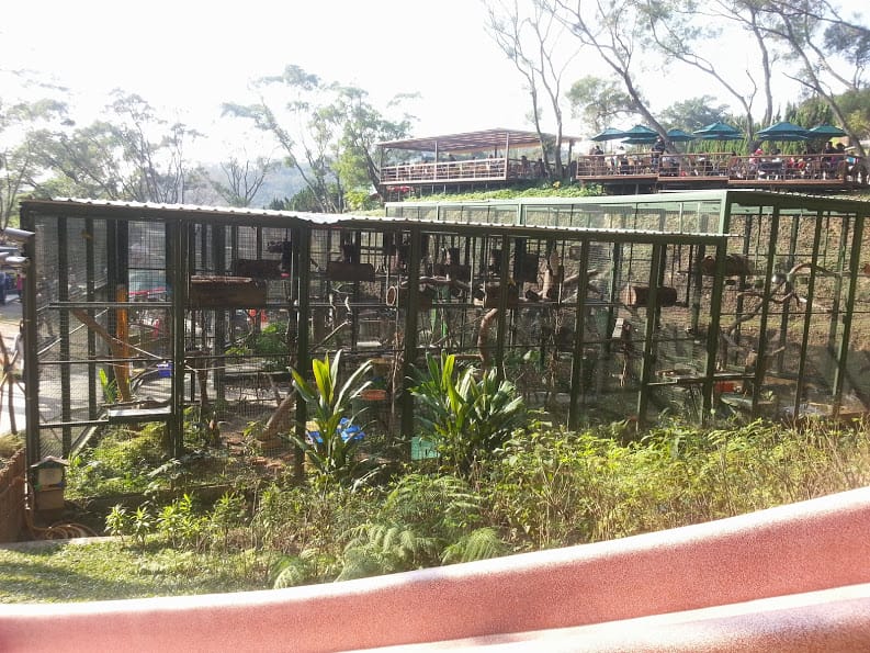 [新竹]親子森林餐廳～森林鳥花園。蹓小孩＆放空的好去處