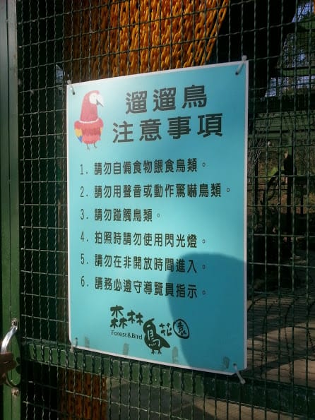 [新竹]親子森林餐廳～森林鳥花園。蹓小孩＆放空的好去處