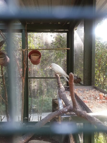 [新竹]親子森林餐廳～森林鳥花園。蹓小孩＆放空的好去處