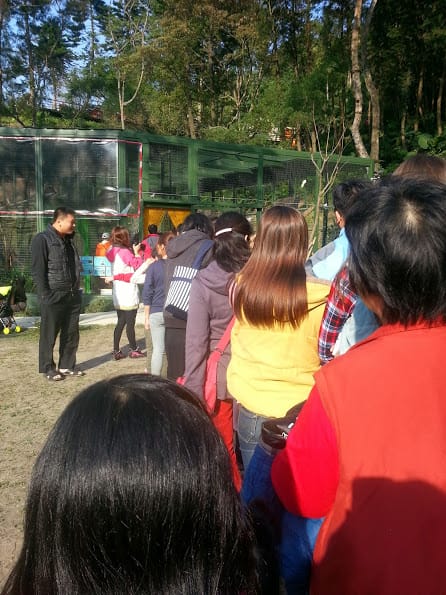 [新竹]親子森林餐廳～森林鳥花園。蹓小孩＆放空的好去處