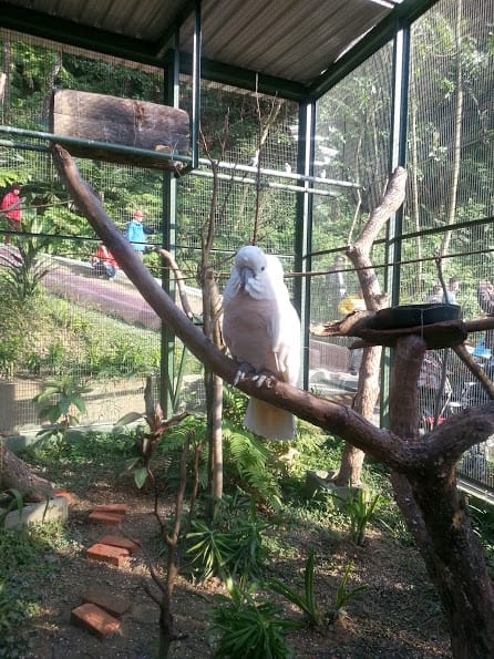 [新竹]親子森林餐廳～森林鳥花園。蹓小孩＆放空的好去處