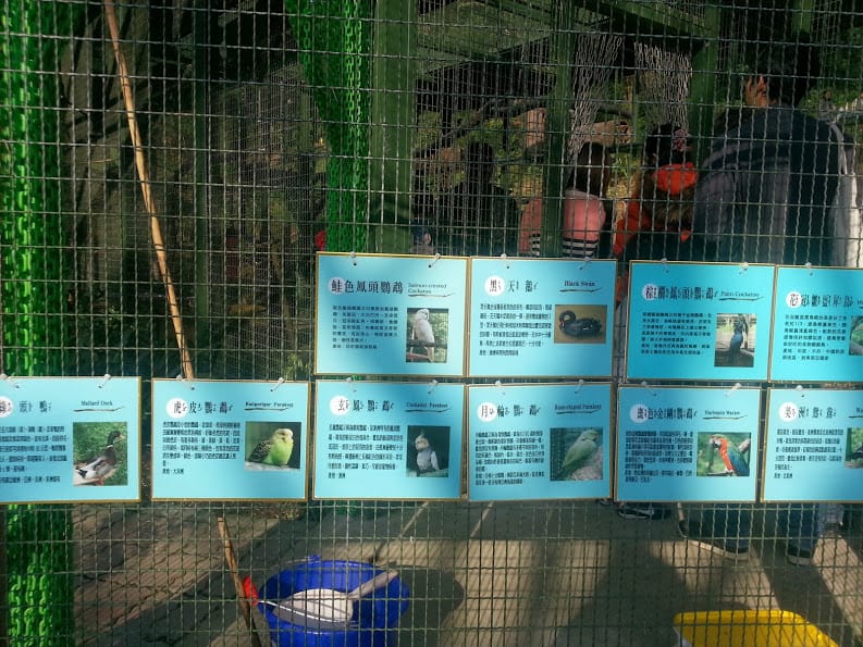 [新竹]親子森林餐廳～森林鳥花園。蹓小孩＆放空的好去處