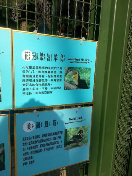 [新竹]親子森林餐廳～森林鳥花園。蹓小孩＆放空的好去處