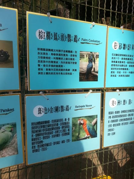 [新竹]親子森林餐廳～森林鳥花園。蹓小孩＆放空的好去處