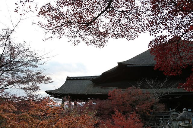 IMG_4457
