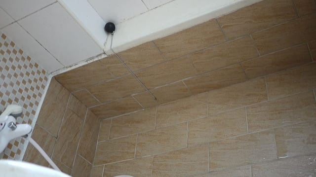 P1120510