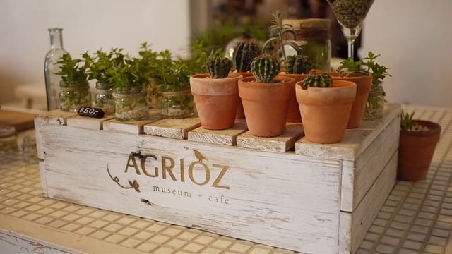 P1120266