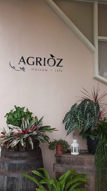 P1120273