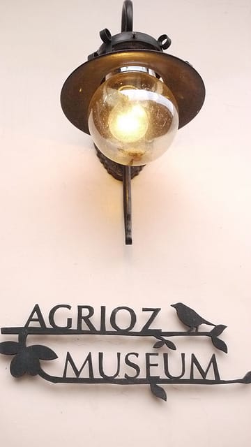 P1120299