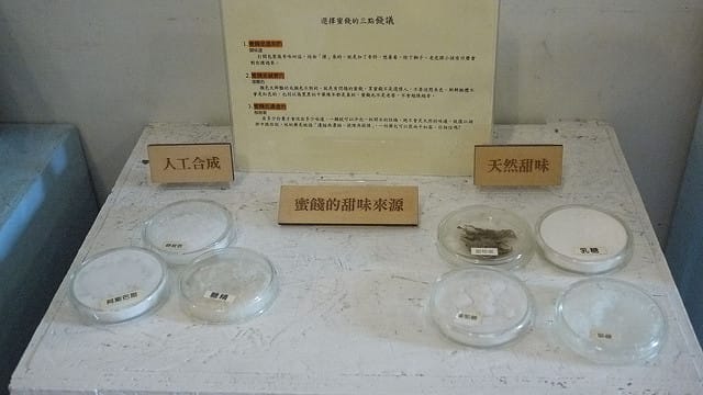 P1120291