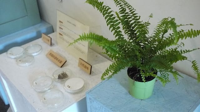 P1120292