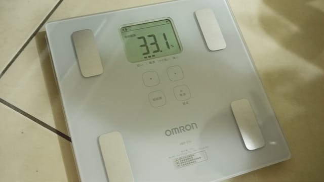 P1120041
