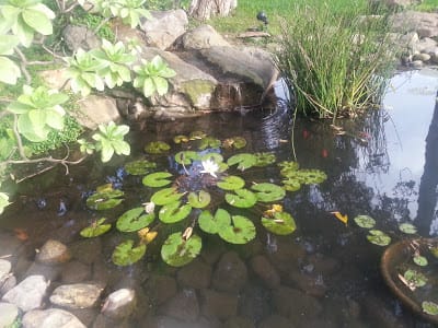 [桃園]親子好好玩～蜜糖吐司DIY＠點水樓。龜山