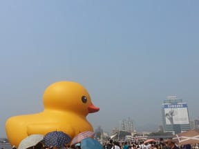 Travel。2nd緩島之旅～Day1[高雄光榮碼頭]黃色小鴨我們來啦！！
