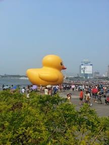 Travel。2nd緩島之旅～Day1[高雄光榮碼頭]黃色小鴨我們來啦！！