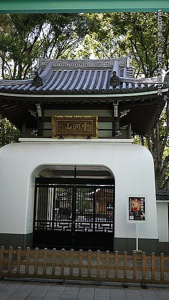 P1050656.JPG P1050656.JPG