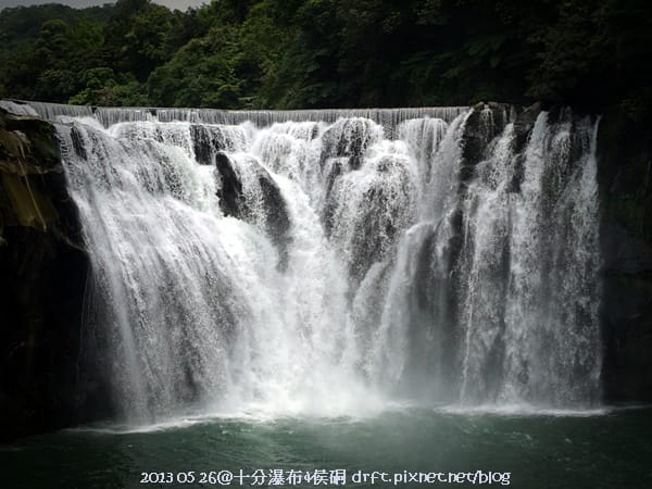 P1110005