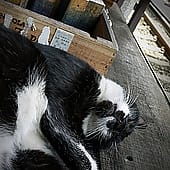 P1110019