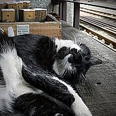 P1110018