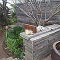 20130413_113611