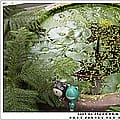 P1100135