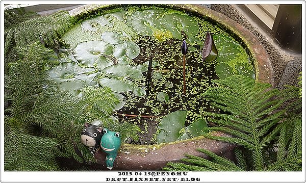P1100135