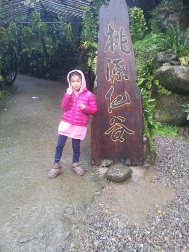 [桃園]煙雨濛濛鬱金香花祭～桃源仙谷
