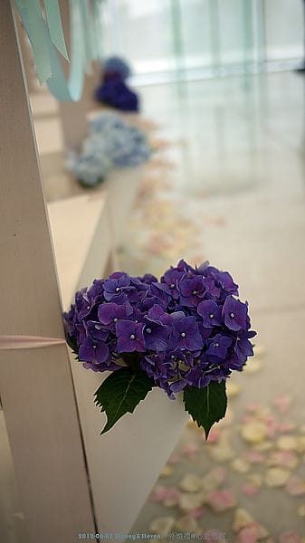 P1070368