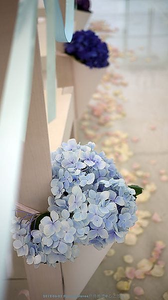 P1070369