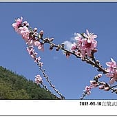 P1060840